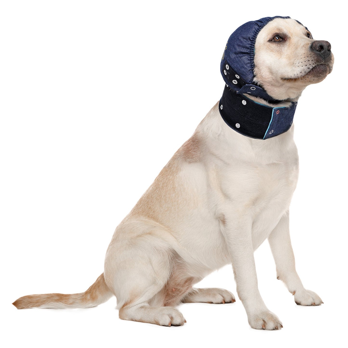 MPS-HEAD COVER® DOG