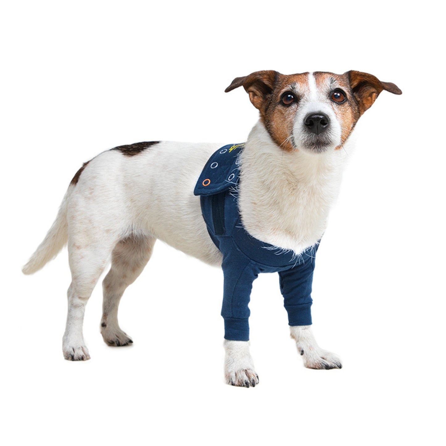 MPS-TAZ2® DOUBLE FRONT LEG SLEEVES DOG