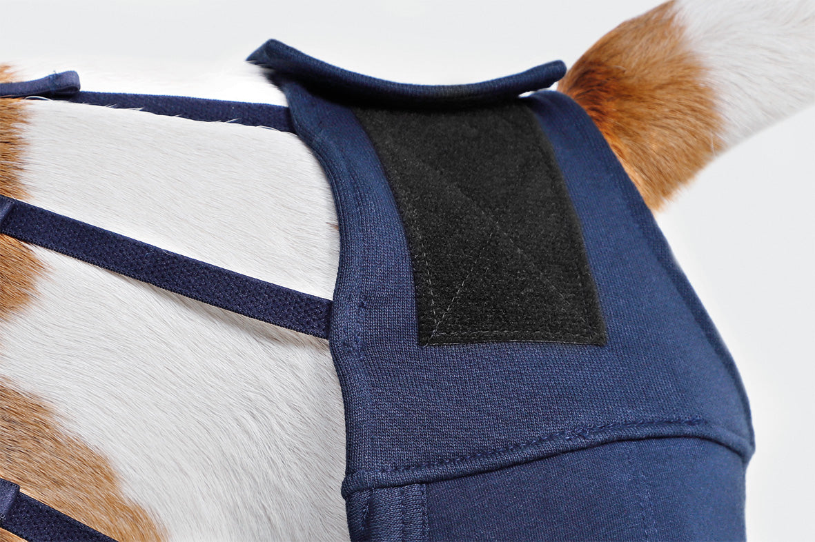 MPS-HLS® HIND LEG SLEEVES DOG