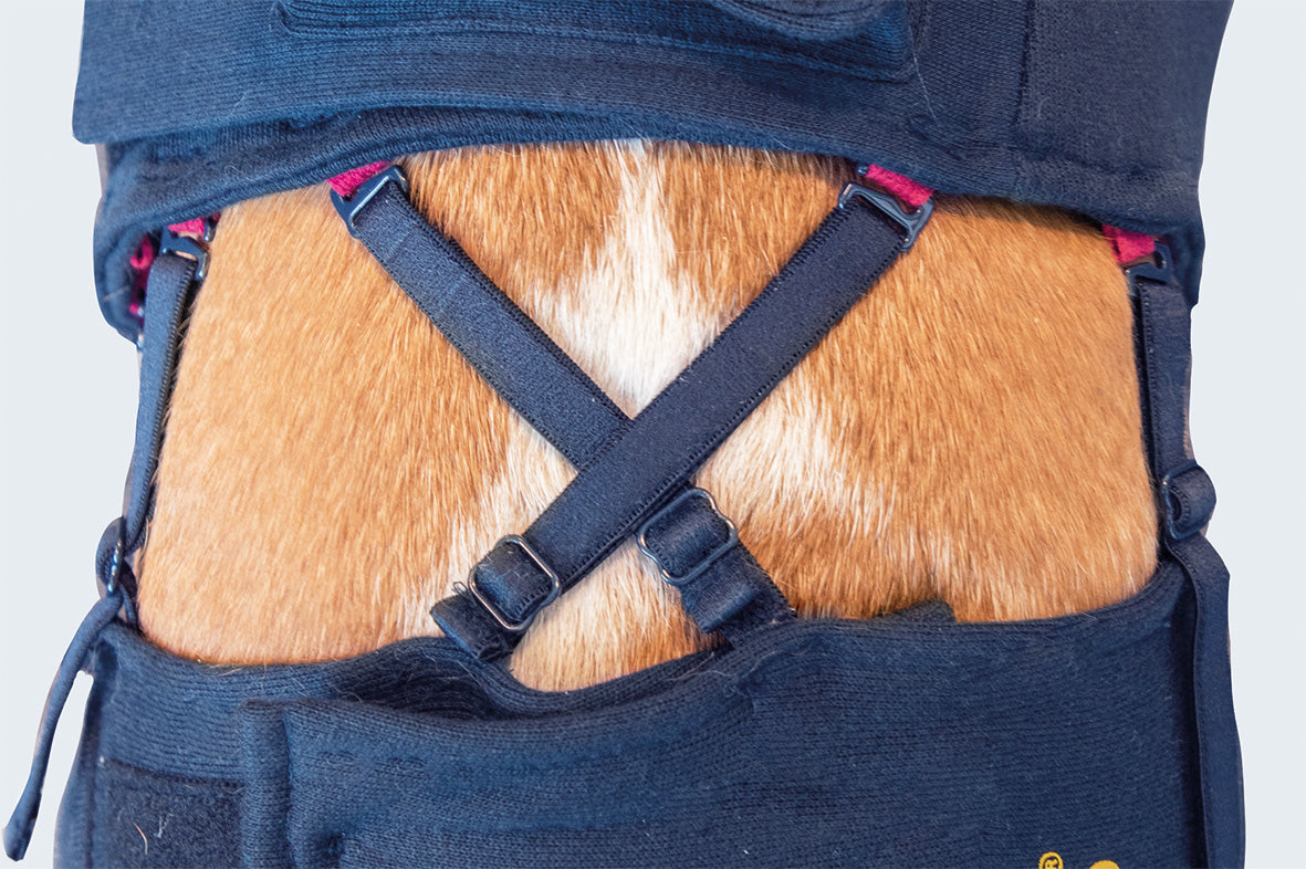 MPS-HLS® HIND LEG SLEEVES DOG