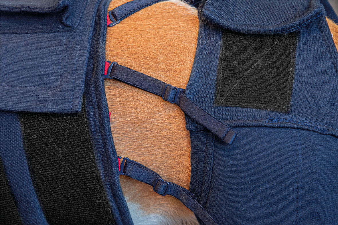 MPS-HLS® HIND LEG SLEEVES DOG