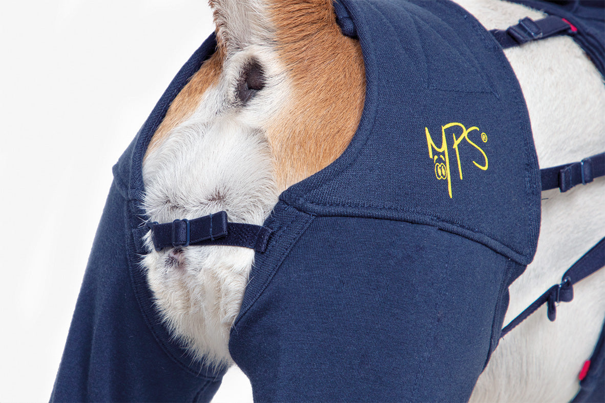 MPS-HLS® HIND LEG SLEEVES DOG