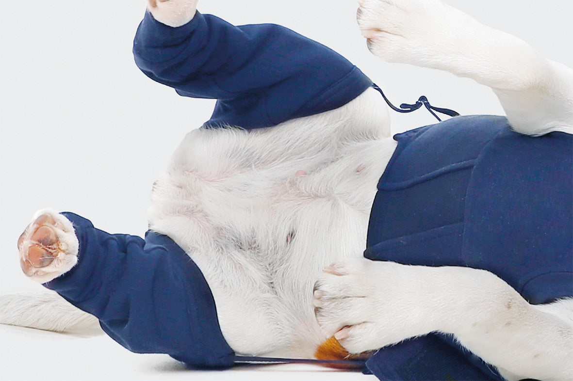 MPS-HLS® HIND LEG SLEEVES DOG
