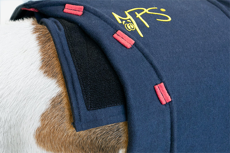 MPS-HLS® HIND LEG SLEEVES DOG