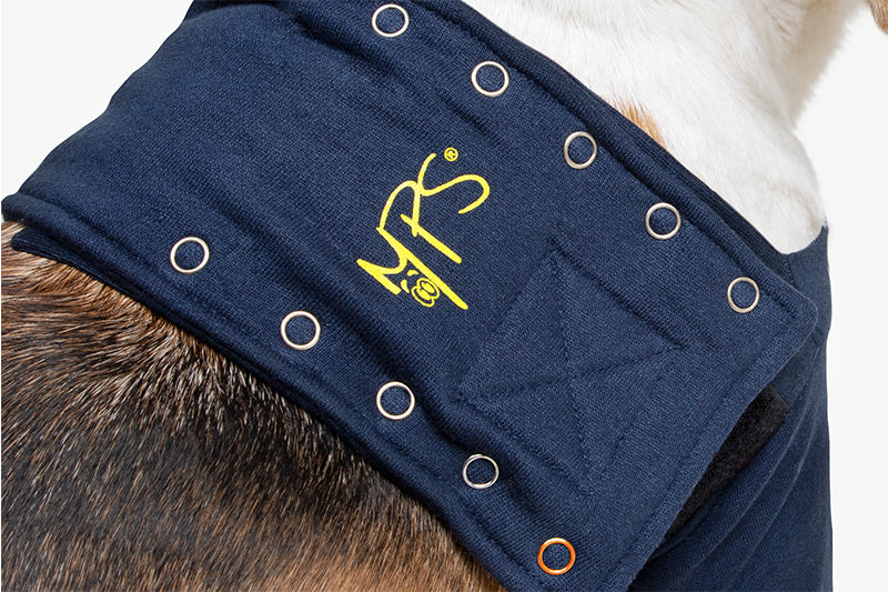MPS-TAZ2® DOUBLE FRONT LEG SLEEVES DOG
