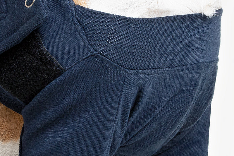 MPS-TAZ2® DOUBLE FRONT LEG SLEEVES DOG