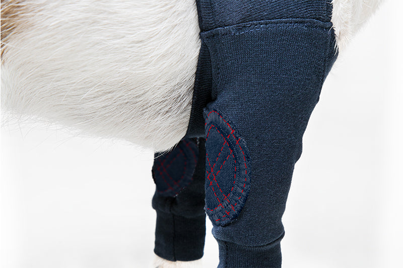 MPS-TAZ2® DOUBLE FRONT LEG SLEEVES DOG