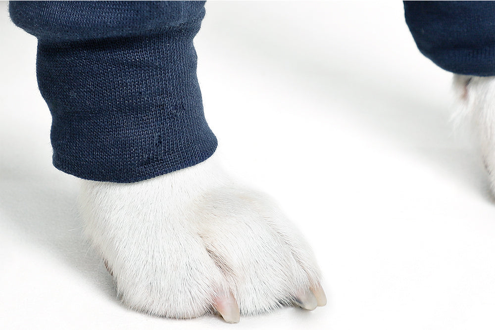 MPS-TAZ2® DOUBLE FRONT LEG SLEEVES DOG