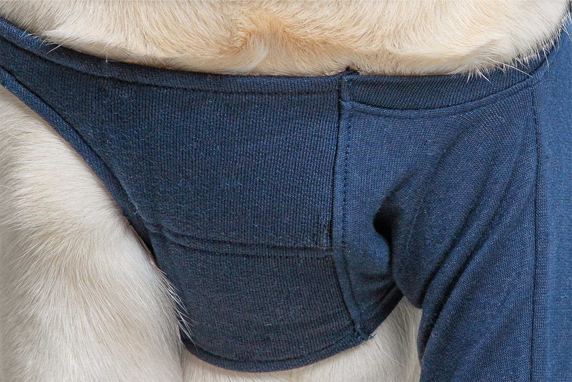 MPS-TAZ® SINGLE FRONT LEG SLEEVE DOG