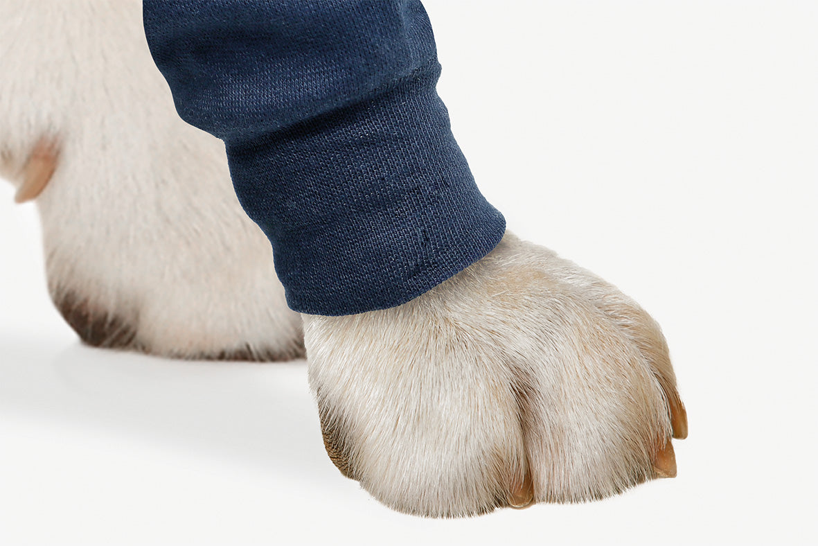 MPS-TAZ® SINGLE FRONT LEG SLEEVE DOG