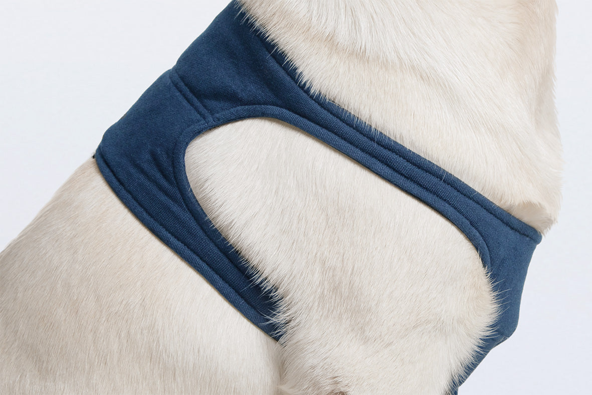 MPS-TAZ® SINGLE FRONT LEG SLEEVE DOG