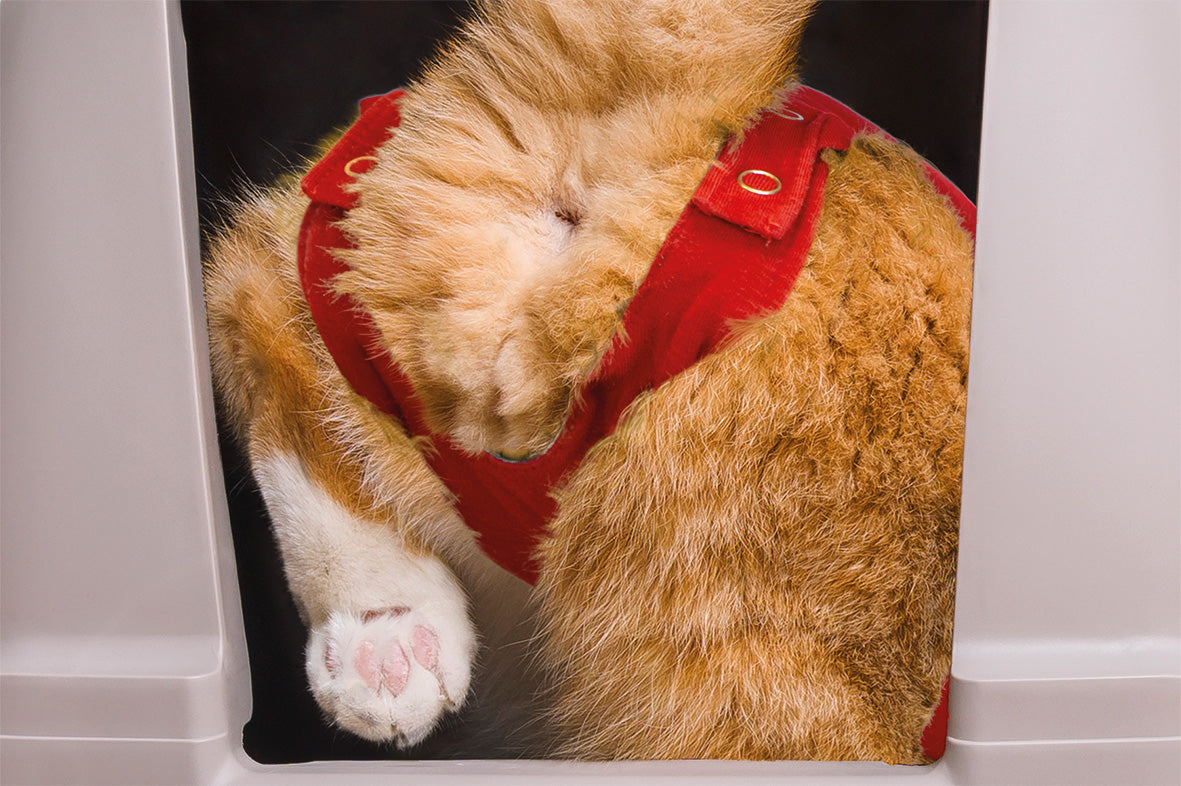 MPS-MEDICAL PET SHIRT® CAT