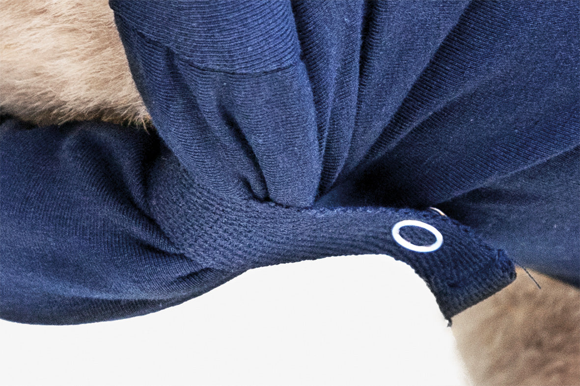MPS-MEDICAL PET SHIRT® DOG