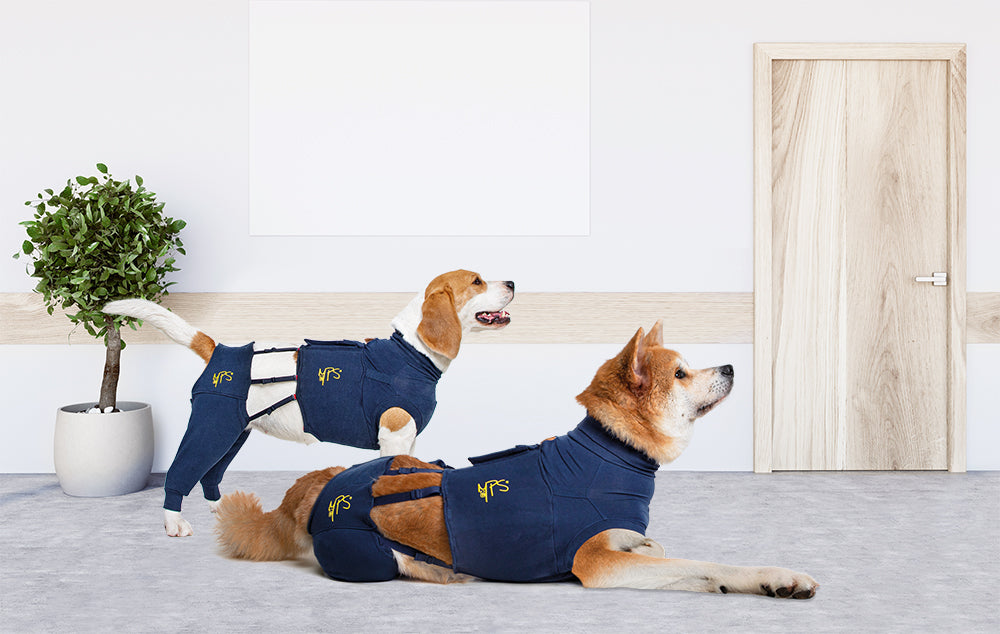 MPS-HLS® HIND LEG SLEEVES DOG