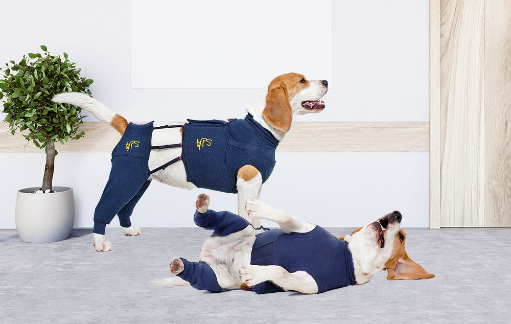 MPS-HLS® HIND LEG SLEEVES DOG