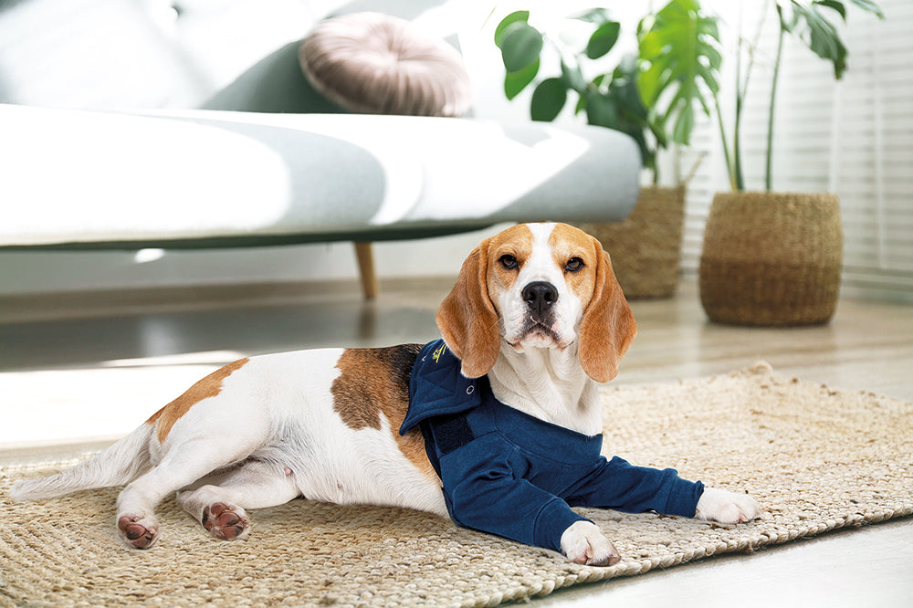 MPS-TAZ2® DOUBLE FRONT LEG SLEEVES DOG