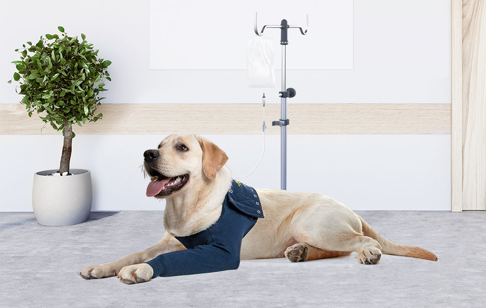 MPS-TAZ® SINGLE FRONT LEG SLEEVE DOG