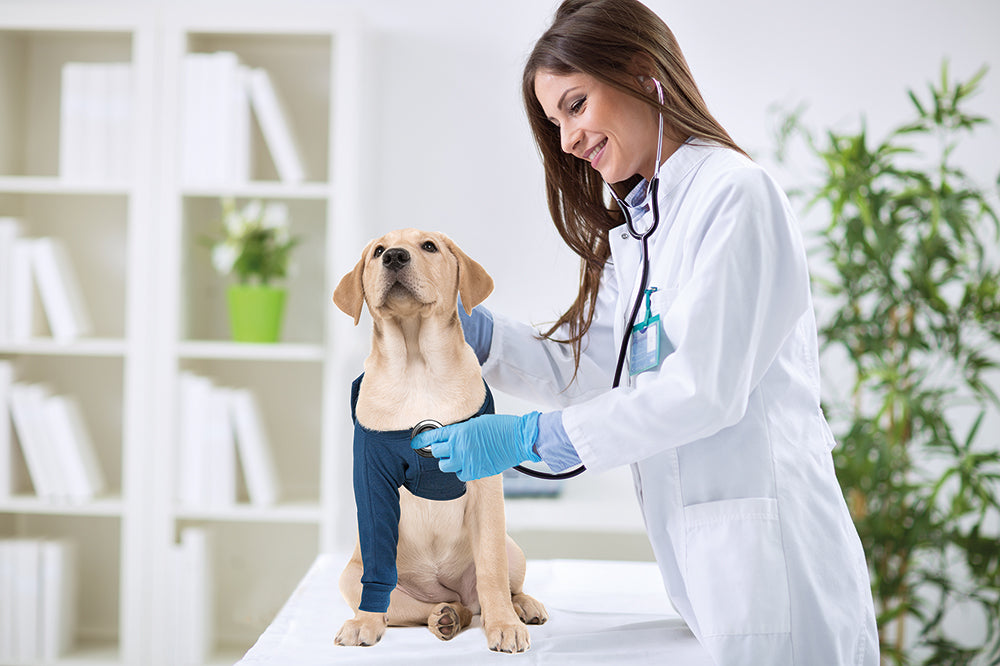 MPS-TAZ® SINGLE FRONT LEG SLEEVE DOG