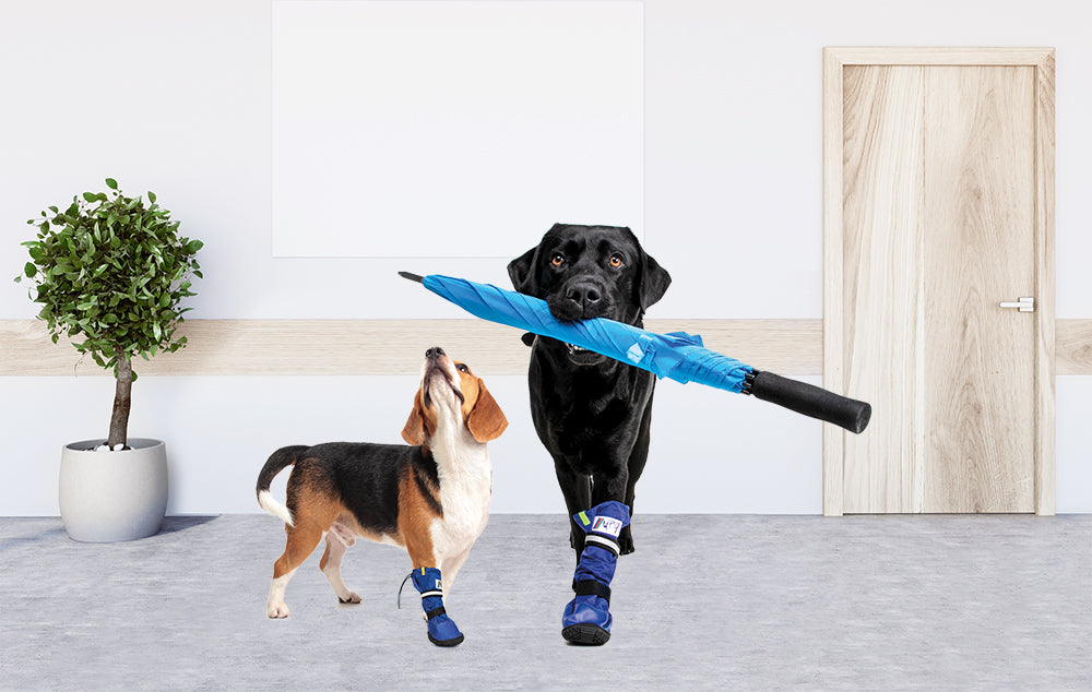 MPS-MEDICAL PETS BOOT® DOG