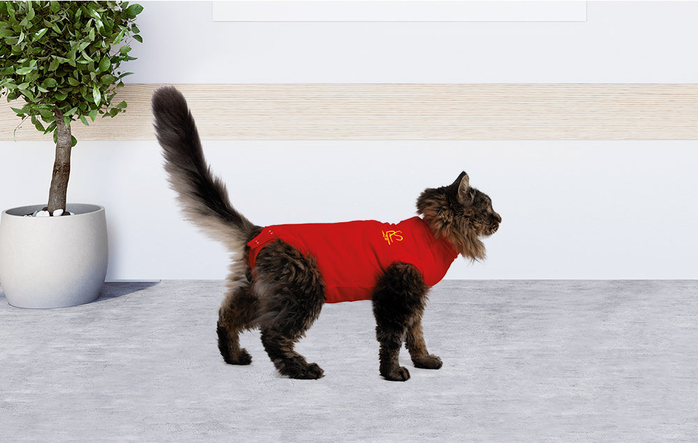 MPS-MEDICAL PET SHIRT® CAT