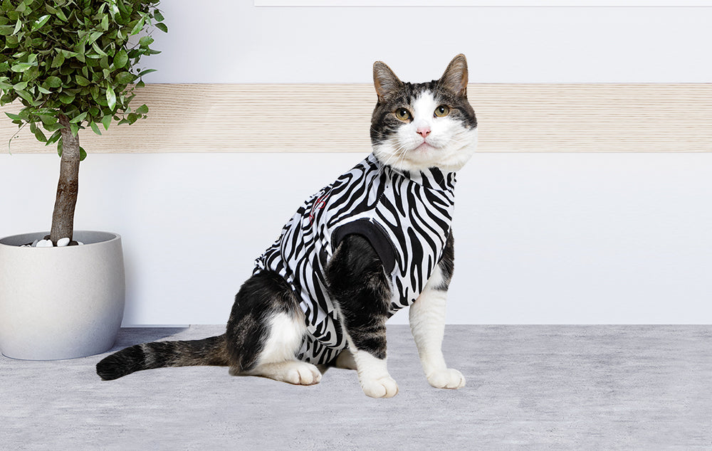 MPS-MEDICAL PET SHIRT® CAT