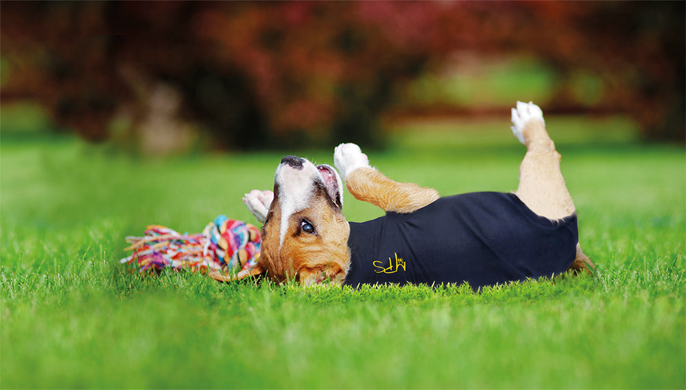 MPS-MEDICAL PET SHIRT® DOG