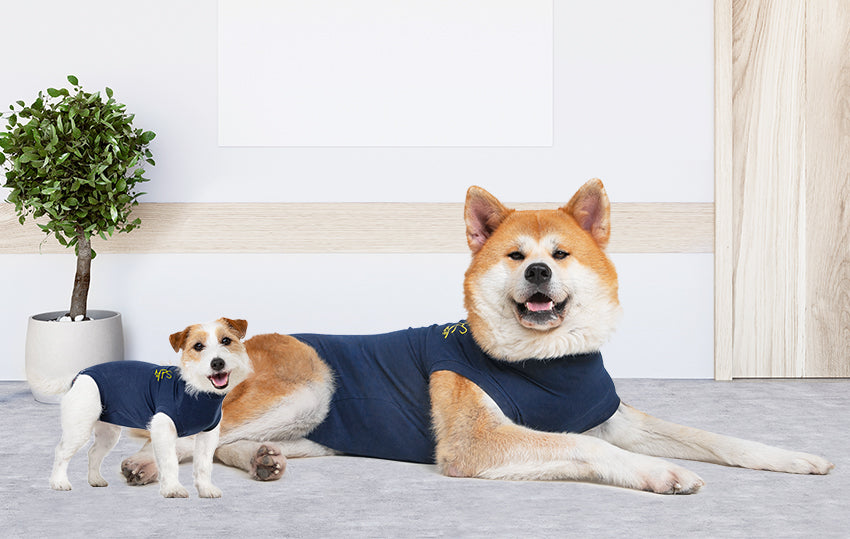 MPS-MEDICAL PET SHIRT® DOG