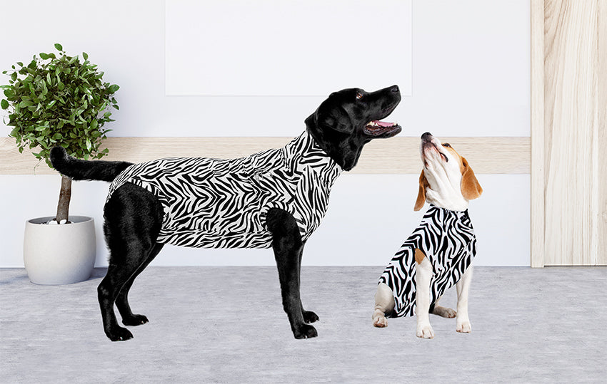 MPS-MEDICAL PET SHIRT® DOG
