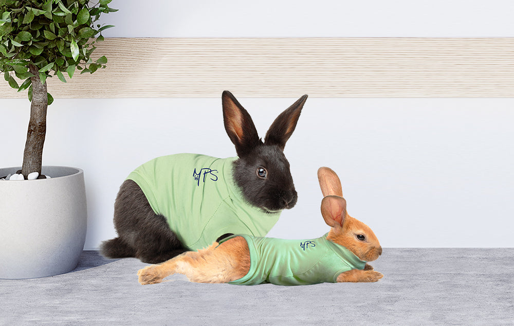 MPS-MEDICAL PET SHIRT® RABBIT