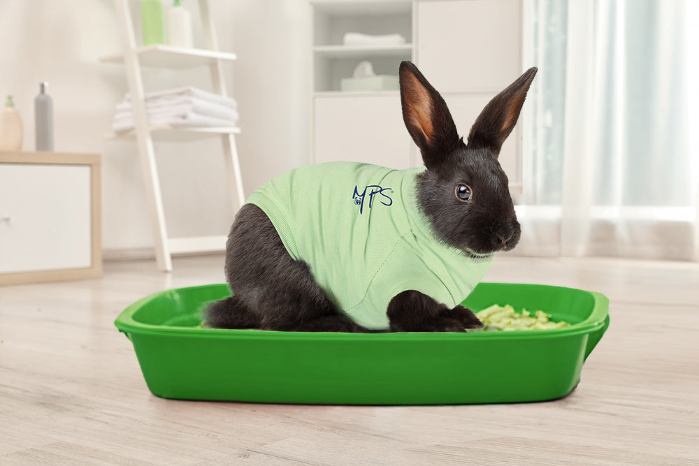 MPS-MEDICAL PET SHIRT® RABBIT