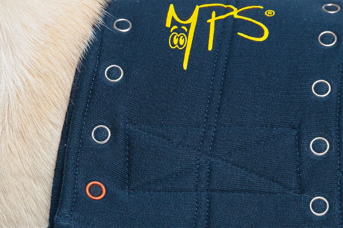 MPS-TAZ2® DOUBLE FRONT LEG SLEEVES DOG