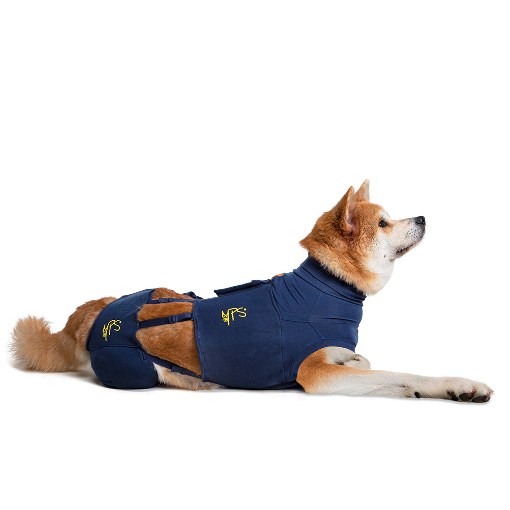 MPS-HLS® HIND LEG SLEEVES DOG