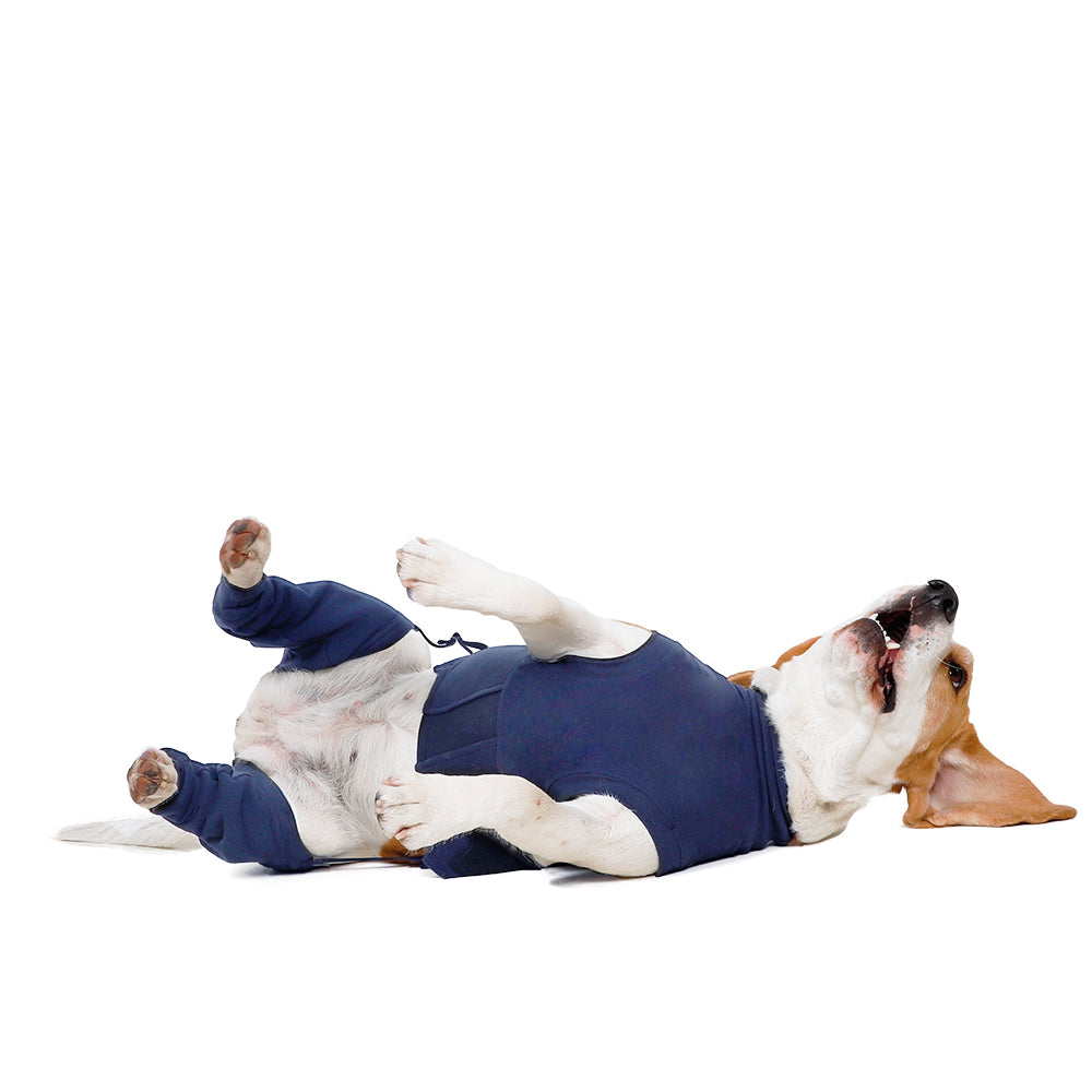 MPS-HLS® HIND LEG SLEEVES DOG
