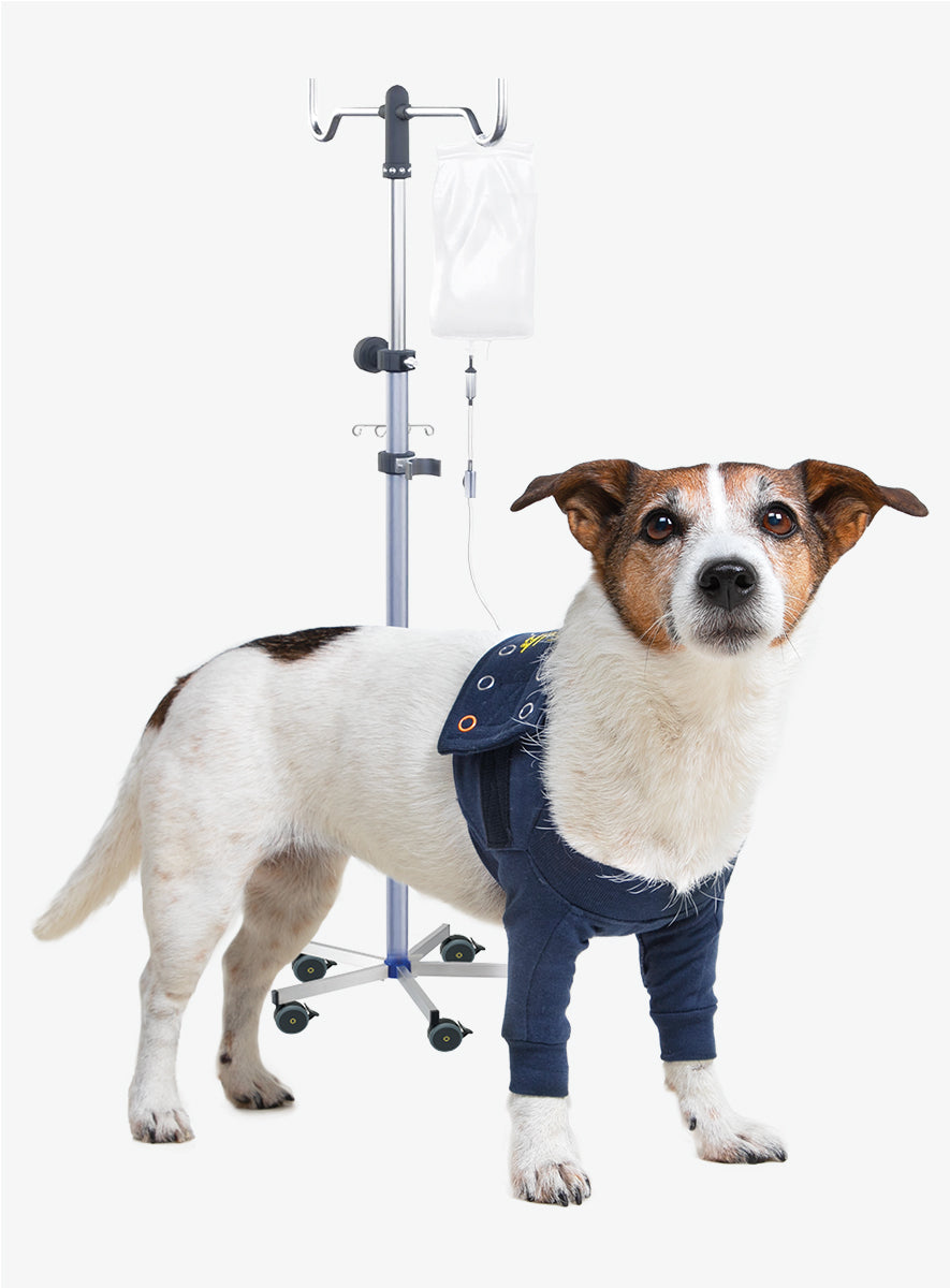 MPS-TAZ2® DOUBLE FRONT LEG SLEEVES DOG