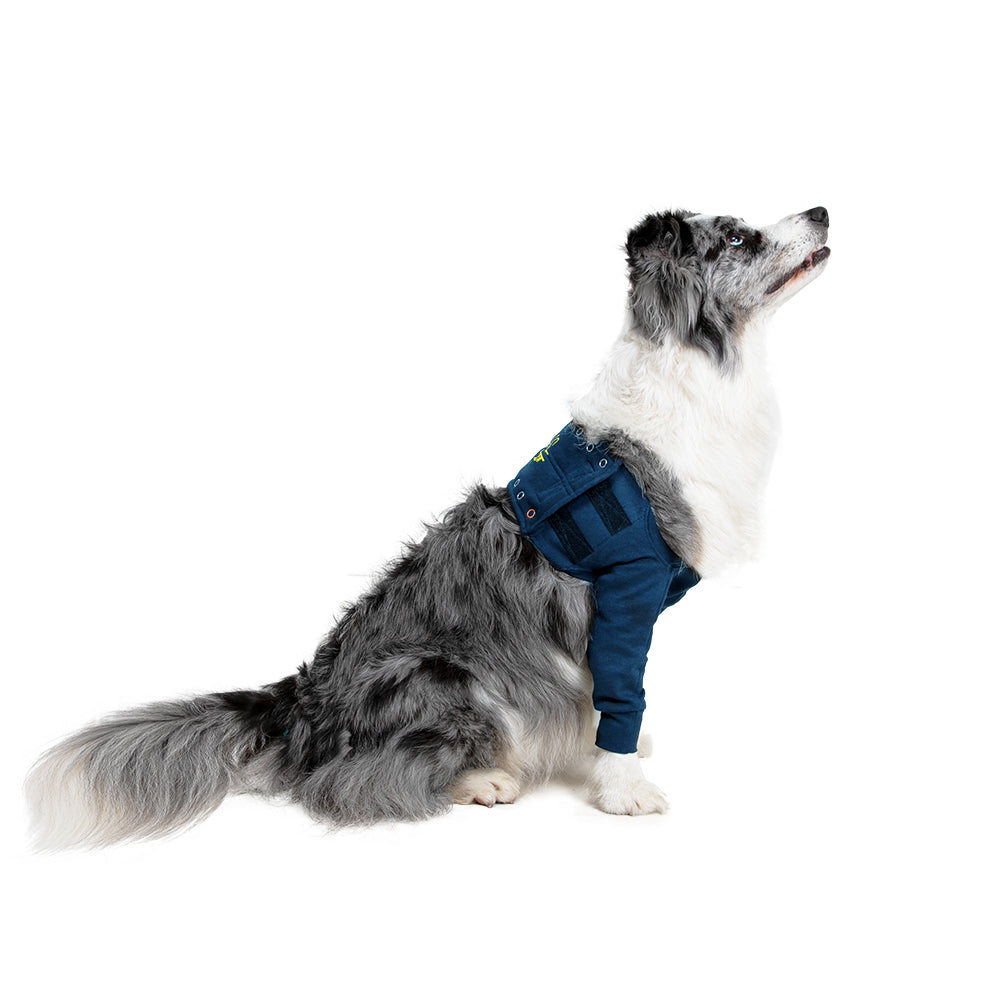 MPS-TAZ® SINGLE FRONT LEG SLEEVE DOG