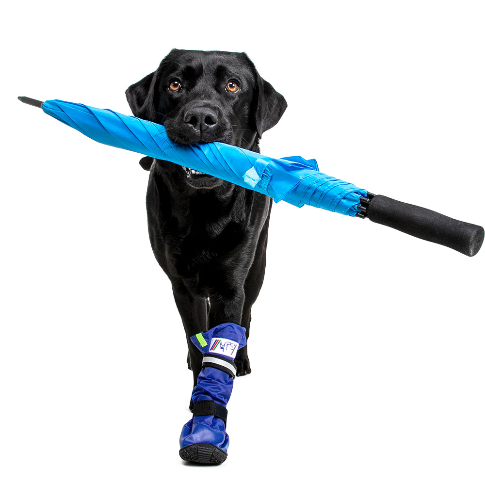 MPS-MEDICAL PETS BOOT® DOG