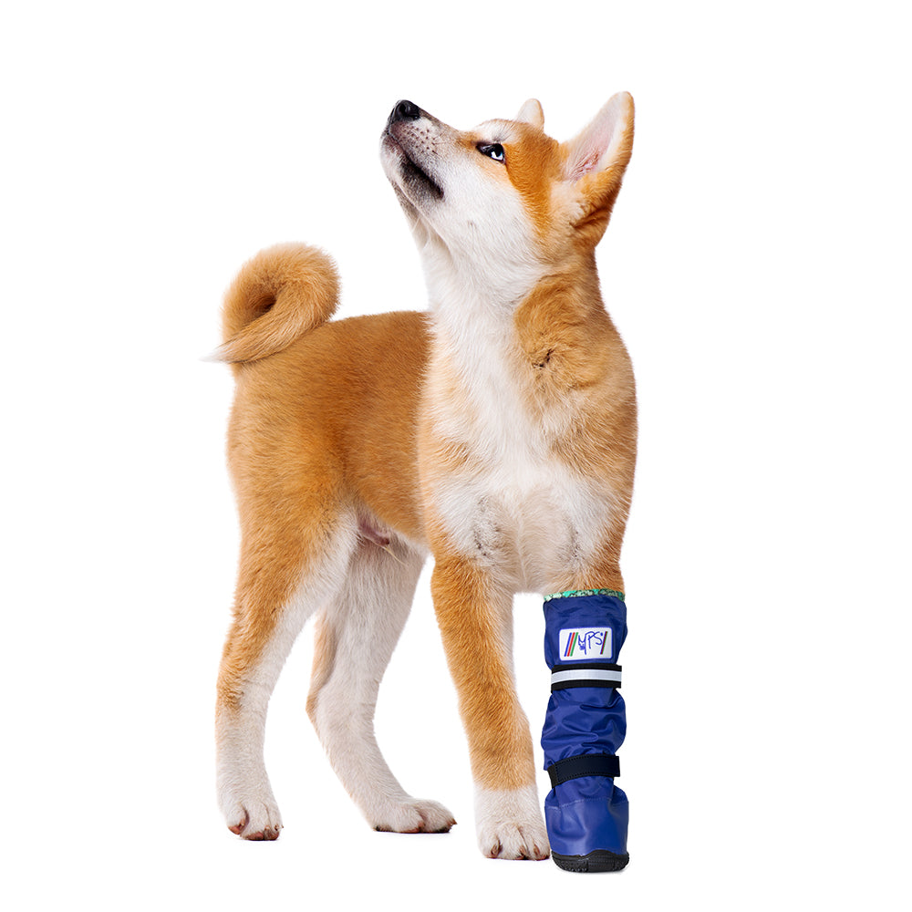 MPS-MEDICAL PETS BOOT® DOG