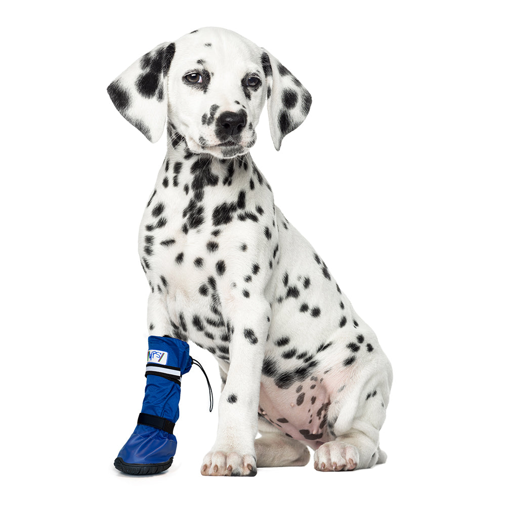 MPS-MEDICAL PETS BOOT® DOG