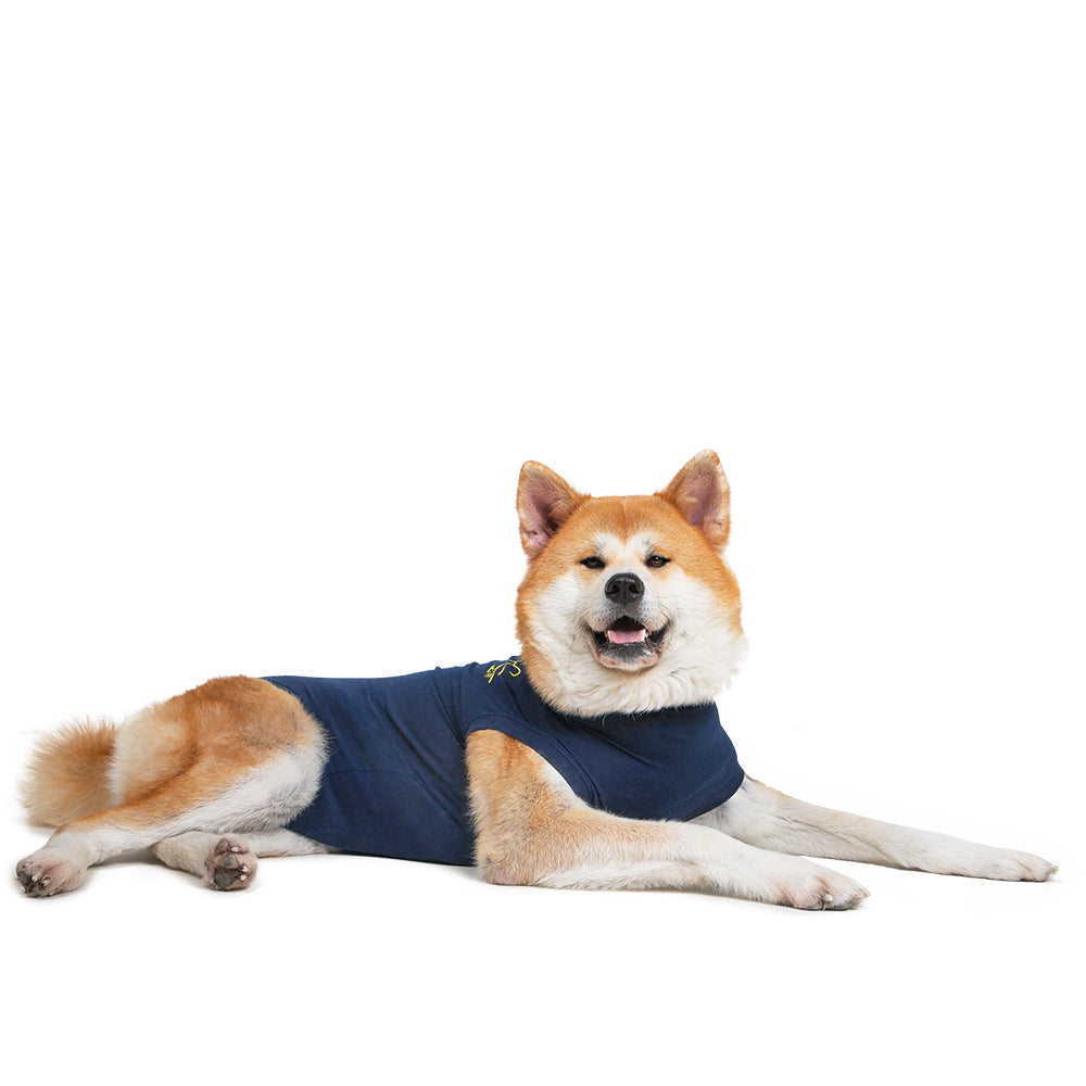 MPS-MEDICAL PET SHIRT® DOG