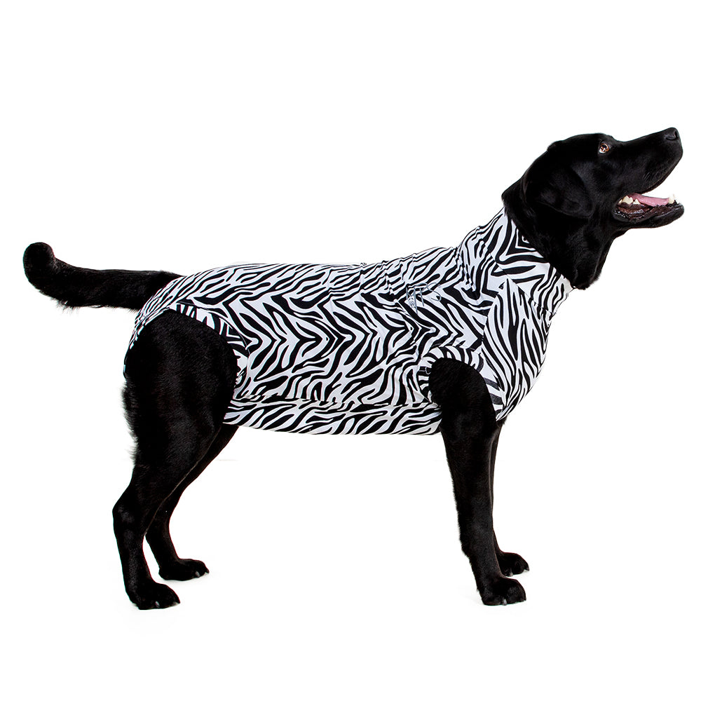 MPS-MEDICAL PET SHIRT® DOG