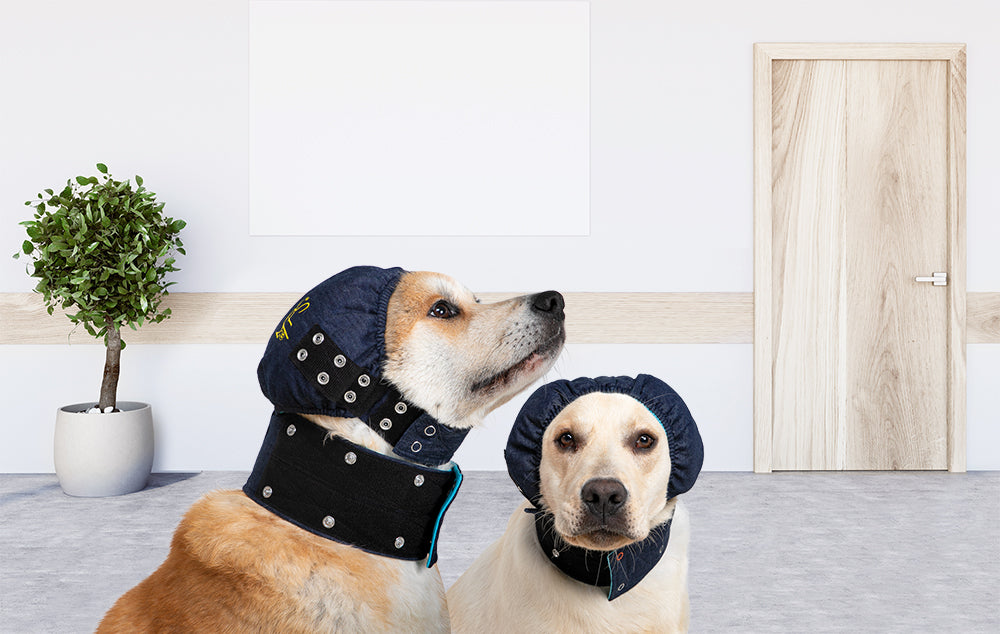 MPS-HEAD COVER® DOG