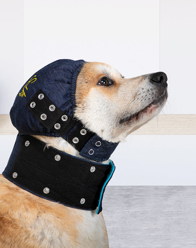 MPS-HEAD COVER® DOG
