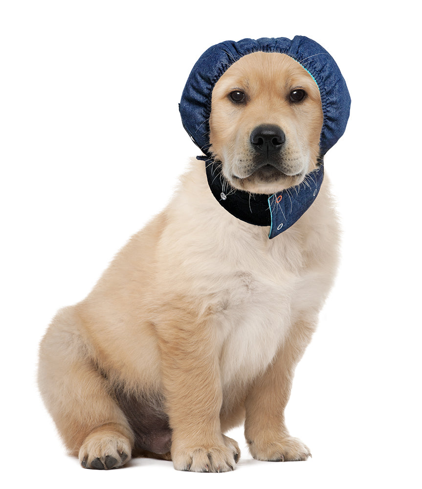 MPS-HEAD COVER® DOG