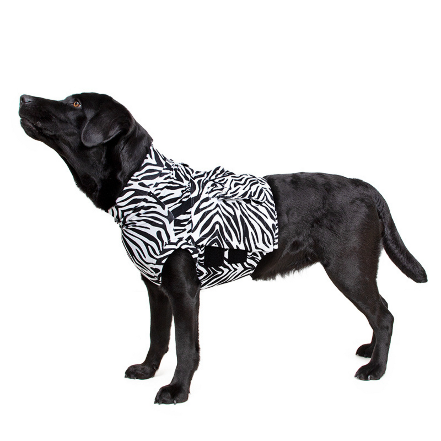 MPS-TOP SHIRT 4-IN-1® DOG