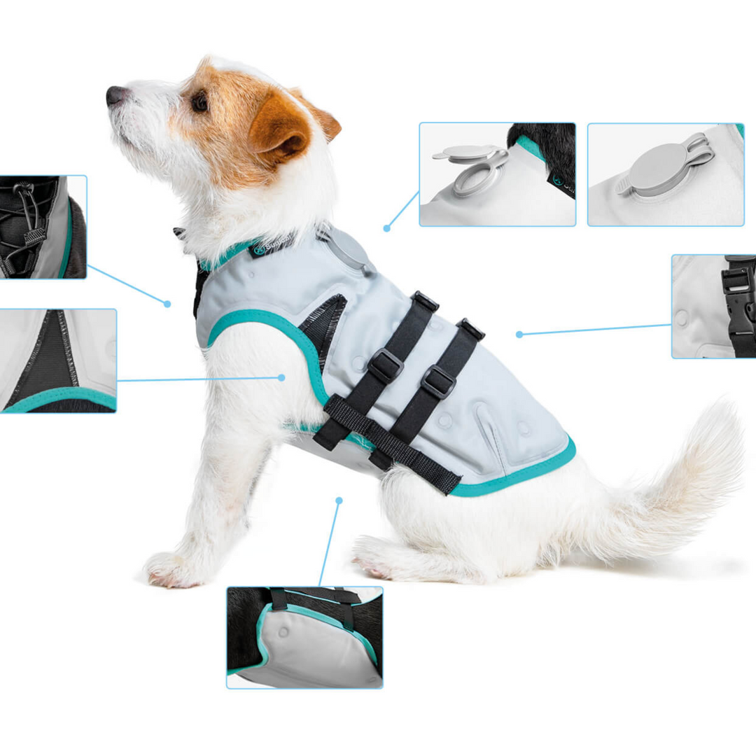 Cooling clothes for dogs deals