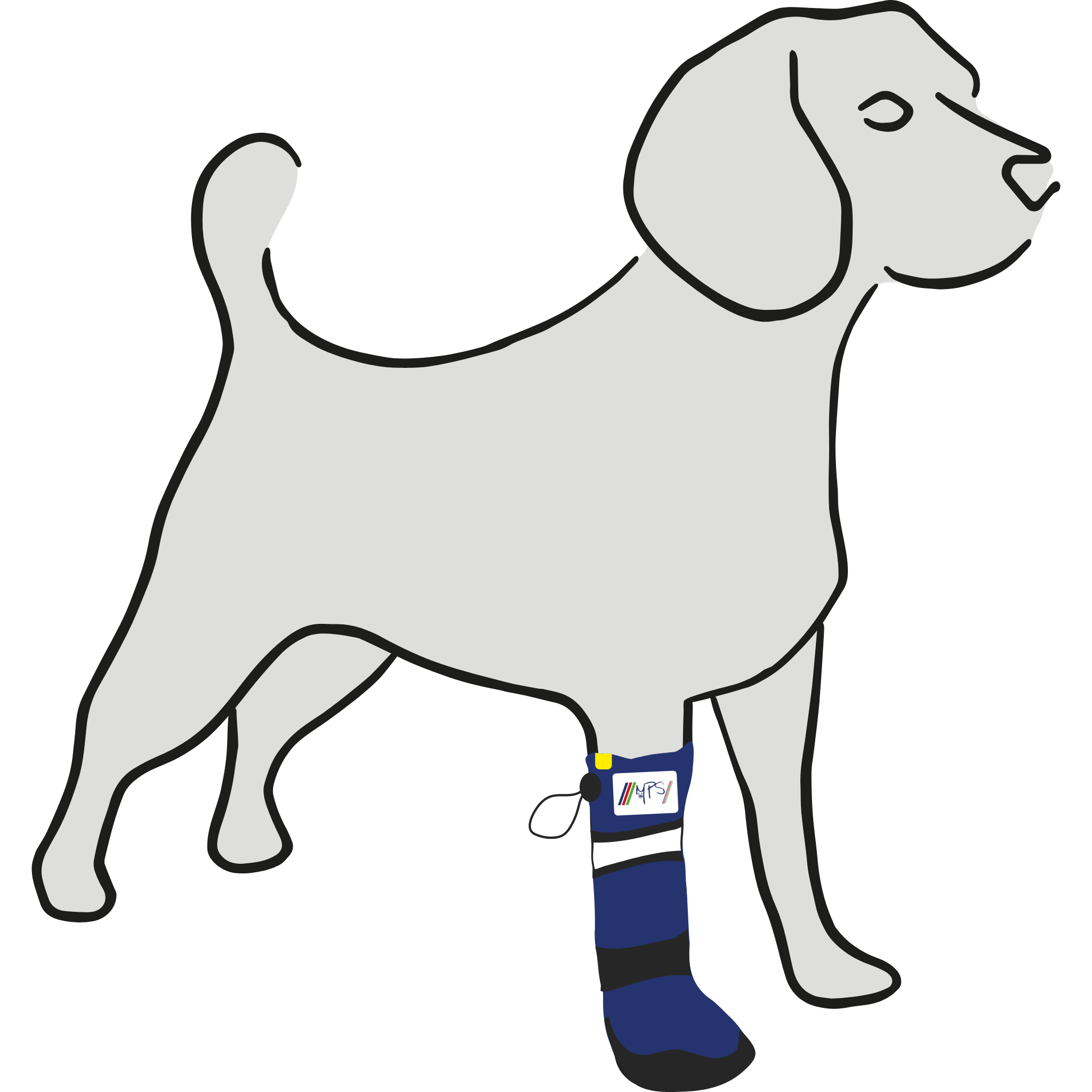 Become a Reseller – PetsMedic