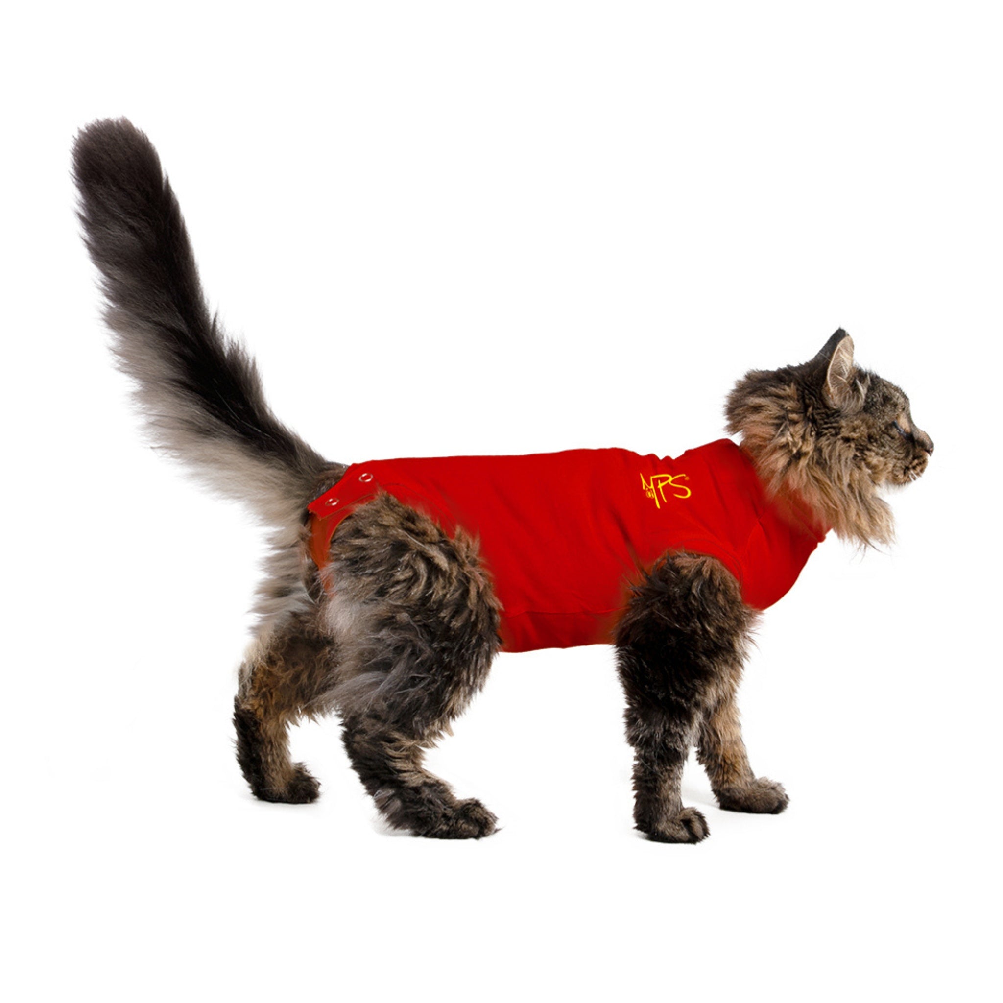 MPS-MEDICAL PET SHIRT® CAT – Medical Pet Shirts Australia