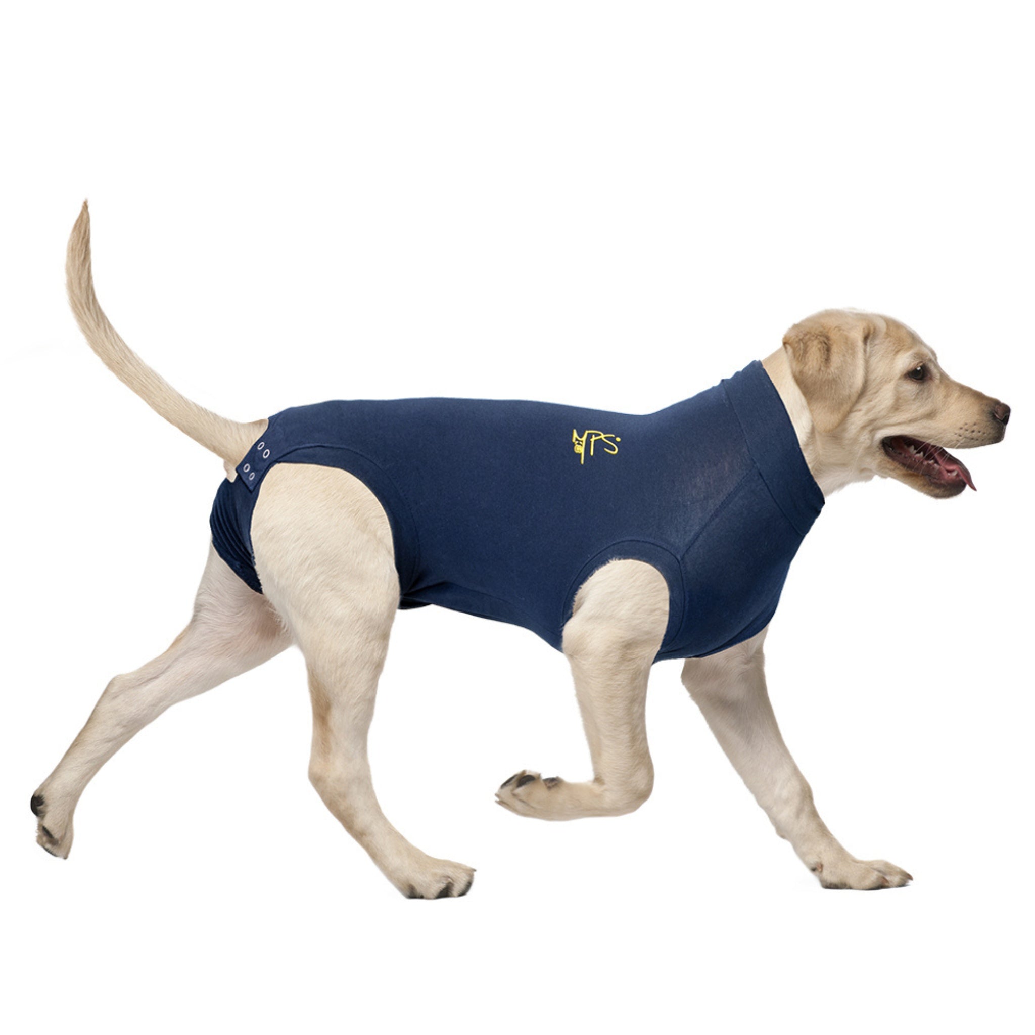 MPS-MEDICAL PET SHIRT® DOG – Medical Pet Shirts Australia