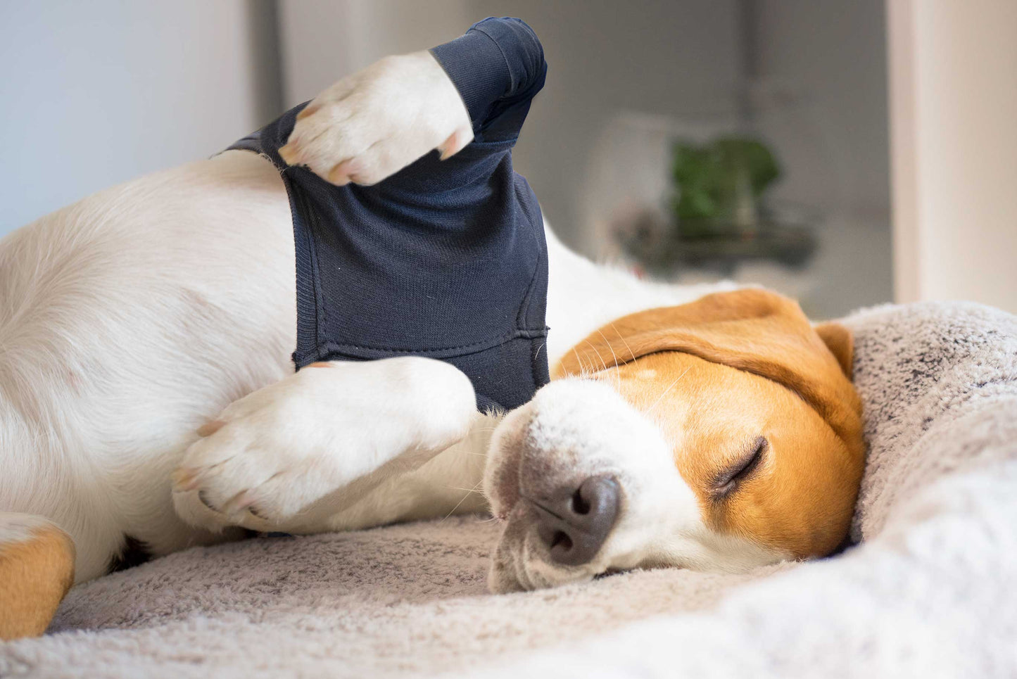 MPS-TAZ® SINGLE FRONT LEG SLEEVE DOG