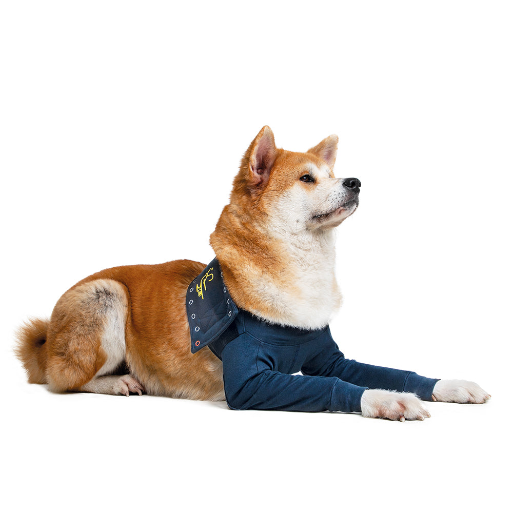 MPS-TAZ2® DOUBLE FRONT LEG SLEEVES DOG